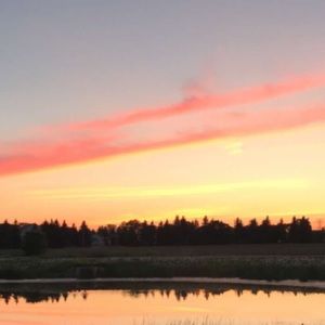 Meet your Posher, Claire